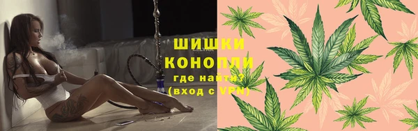 соль ск Няндома
