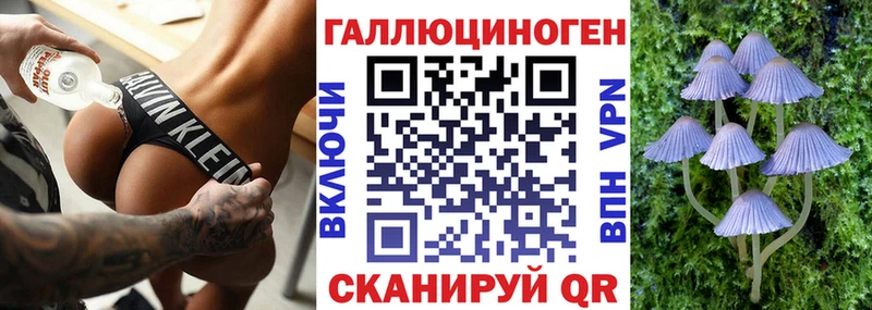 ссылка на мегу маркетплейс  Сорочинск  Галлюциногенные грибы Magic Shrooms  купить наркоту 