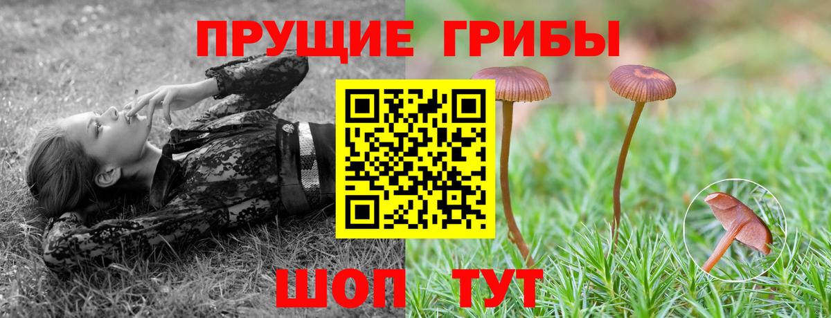 Псилоцибиновые грибы Psilocybine cubensis  Вход с VPN  Сорочинск 